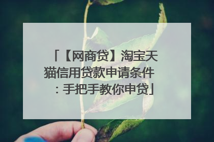 【网商贷】淘宝天猫信用贷款申请条件：手把手教你申贷