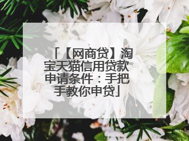 【网商贷】淘宝天猫信用贷款申请条件:手把手教你申贷