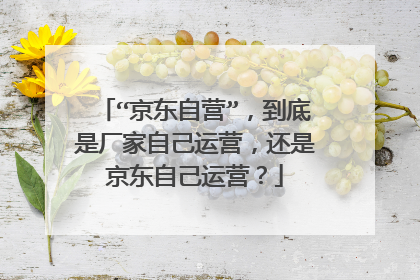 “京东自营”,到底是厂家自己运营,还是京东自己运营?