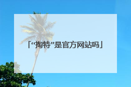 “掏特”是官方网站吗