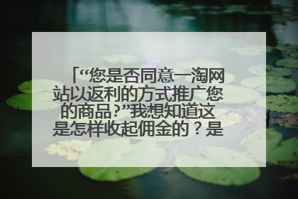 “您是否同意一淘网站以返利的方式推广您的商品?”我想知道这是怎样收起佣金的?是否要交两份佣金??