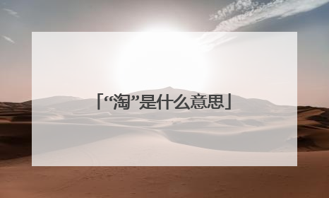 “淘”是什么意思