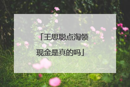王思聪点淘领现金是真的吗