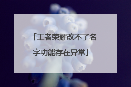 王者荣耀改不了名字功能存在异常
