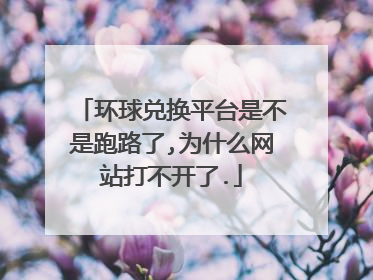 环球兑换平台是不是跑路了,为什么网站打不开了.