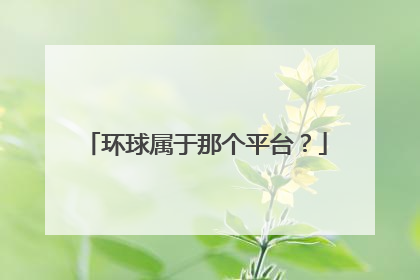 环球属于那个平台?