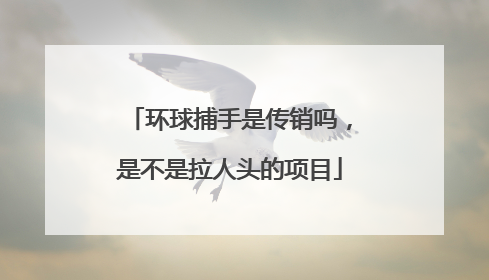 环球捕手是传销吗,是不是拉人头的项目