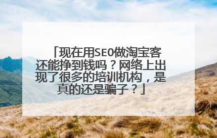 现在用SEO做淘宝客还能挣到钱吗?网络上出现了很多的培训机构,是真的还是骗子?