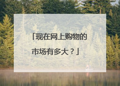 现在网上购物的市场有多大？