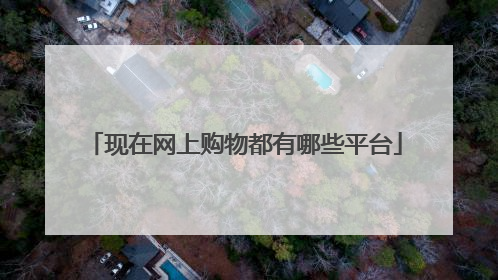 现在网上购物都有哪些平台