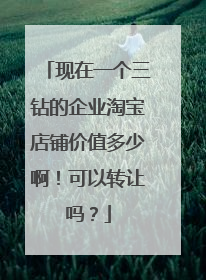 现在一个三钻的企业淘宝店铺价值多少啊!可以转让吗?