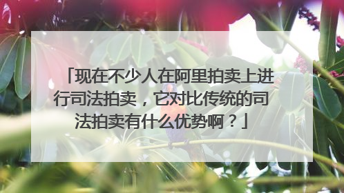 现在不少人在阿里拍卖上进行司法拍卖,它对比传统的司法拍卖有什么优势啊?