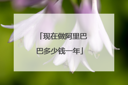 现在做阿里巴巴多少钱一年