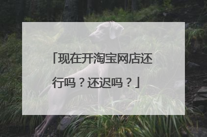 现在开淘宝网店还行吗?还迟吗?