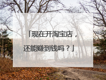现在开淘宝店,还能赚到钱吗?