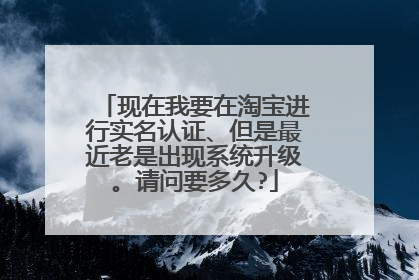 现在我要在淘宝进行实名认证、但是最近老是出现系统升级。请问要多久?