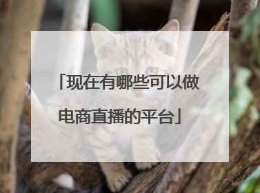 现在有哪些可以做电商直播的平台