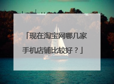 现在淘宝网哪几家手机店铺比较好?