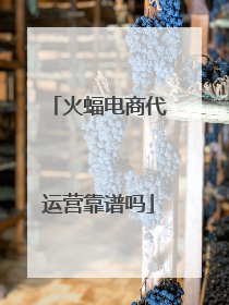 火蝠电商代运营靠谱吗
