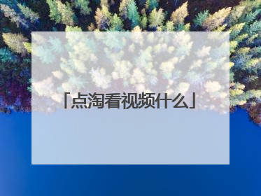 点淘看视频什么