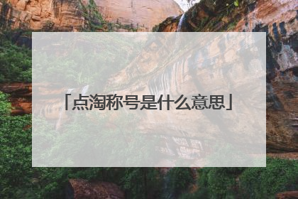 点淘称号是什么意思