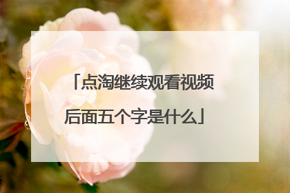点淘继续观看视频后面五个字是什么