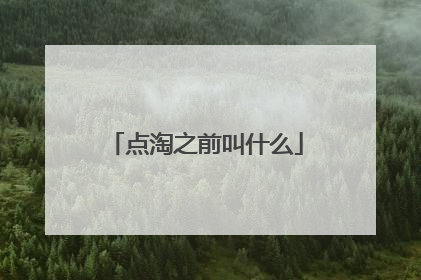 点淘之前叫什么