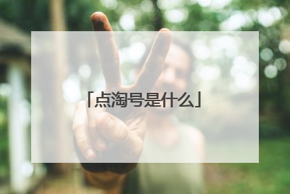 点淘号是什么