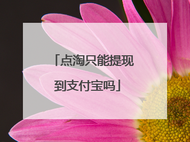 点淘只能提现到支付宝吗