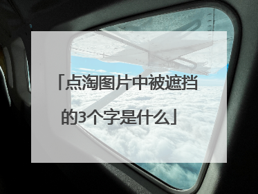 点淘图片中被遮挡的3个字是什么