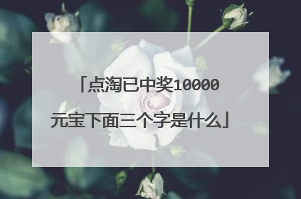 点淘已中奖10000元宝下面三个字是什么