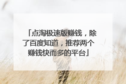 点淘极速版赚钱,除了百度知道,推荐两个赚钱快而多的平台