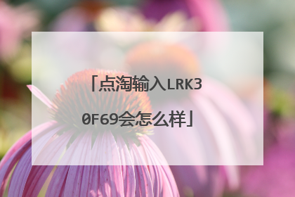 点淘输入LRK30F69会怎么样
