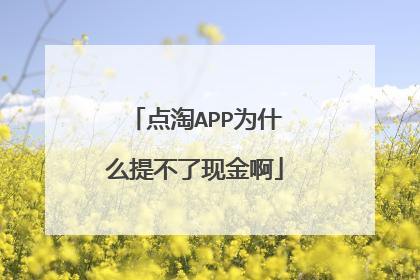点淘APP为什么提不了现金啊