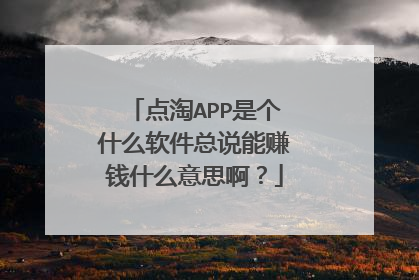 点淘APP是个什么软件总说能赚钱什么意思啊?