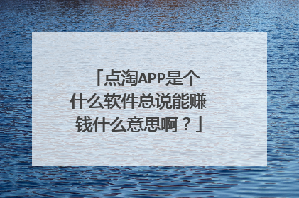 点淘APP是个什么软件总说能赚钱什么意思啊？