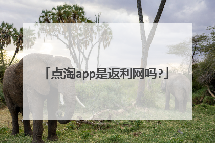 点淘app是返利网吗?