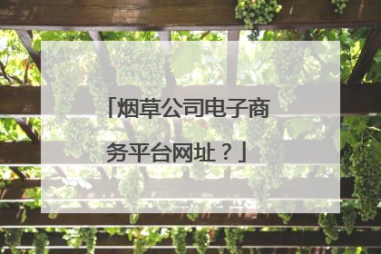 烟草公司电子商务平台网址?