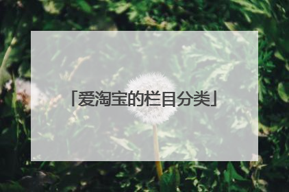 爱淘宝的栏目分类