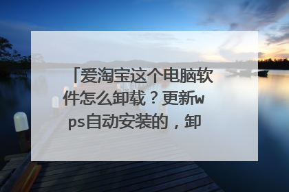 爱淘宝这个电脑软件怎么卸载?更新wps自动安装的,卸载卸不掉居然还要管理员权限??
