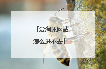 爱淘课网站怎么进不去