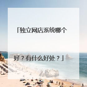 独立网店系统哪个好?有什么好处?