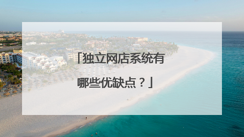 独立网店系统有哪些优缺点？
