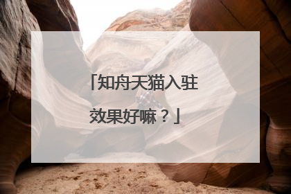 知舟天猫入驻效果好嘛？