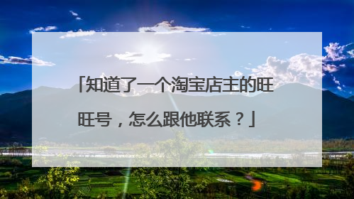 知道了一个淘宝店主的旺旺号，怎么跟他联系？