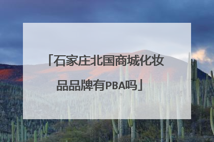 石家庄北国商城化妆品品牌有PBA吗