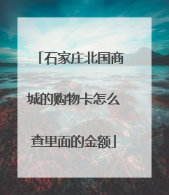 石家庄北国商城的购物卡怎么查里面的金额
