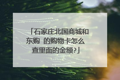 石家庄北国商城和东购 的购物卡怎么查里面的金额?