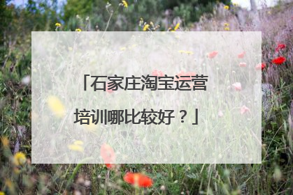 石家庄淘宝运营培训哪比较好?