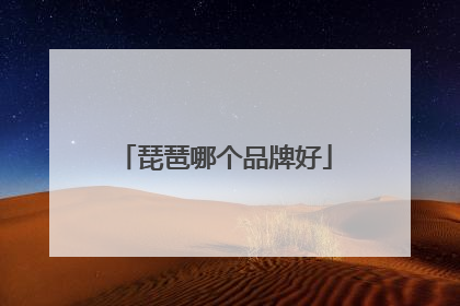 琵琶哪个品牌好